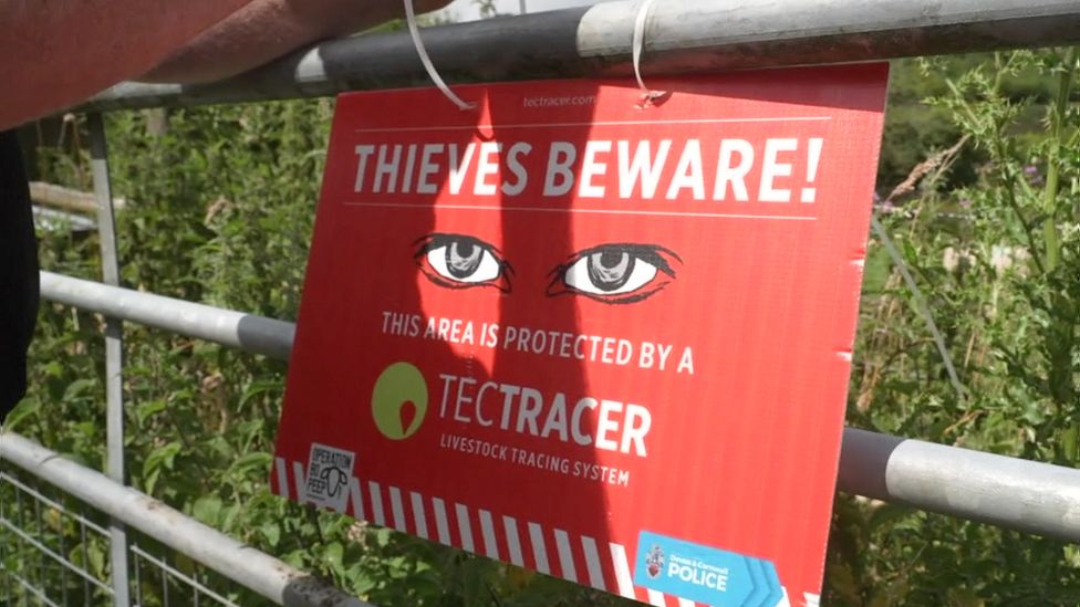 Anti-theft sign
