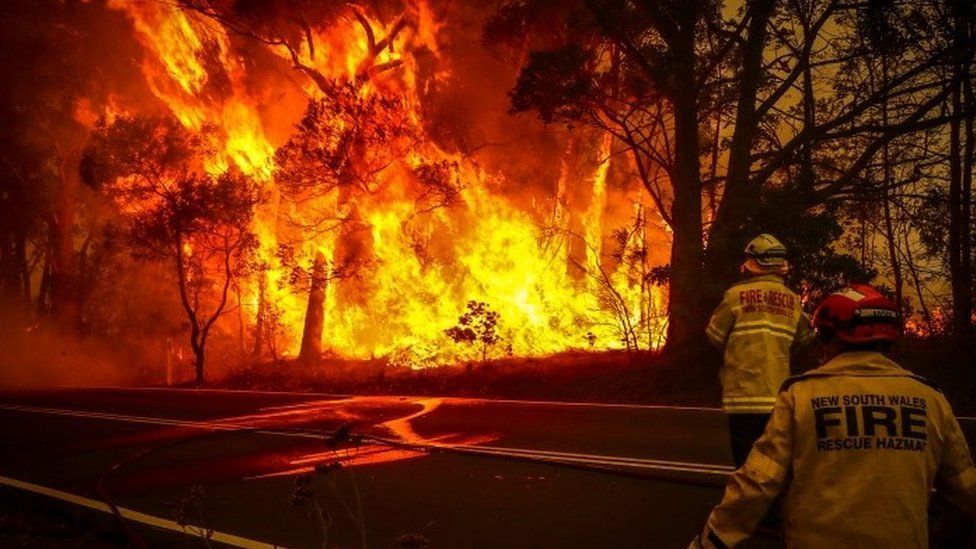 Two firefighters approach a blaze in New South Wales
