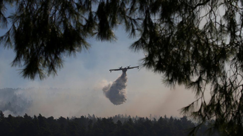 Through the branches of a tree, an aeroplane can be seen flying through smoke to drop water in an attempt to smother the blaze