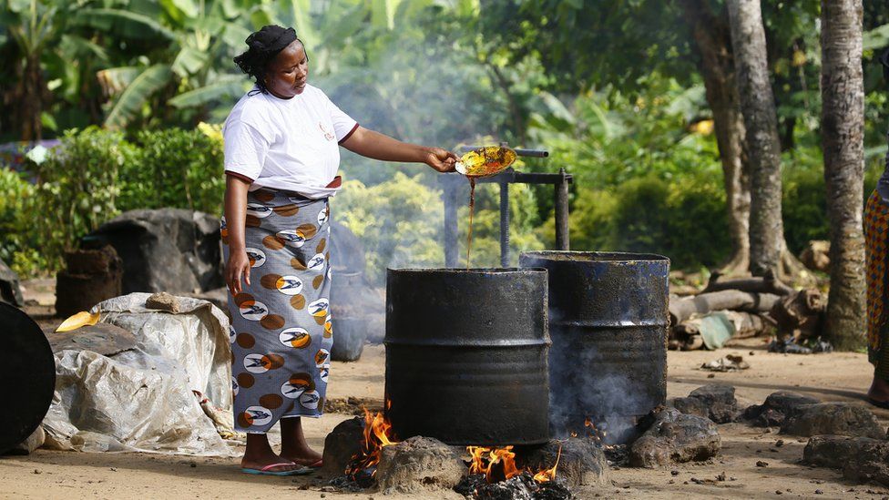 A woman extracts palm oil in an artisanal way in Dabou, Ivory Coast, 30 October 2017.