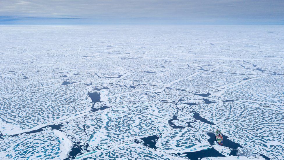 Arctic sea-ice