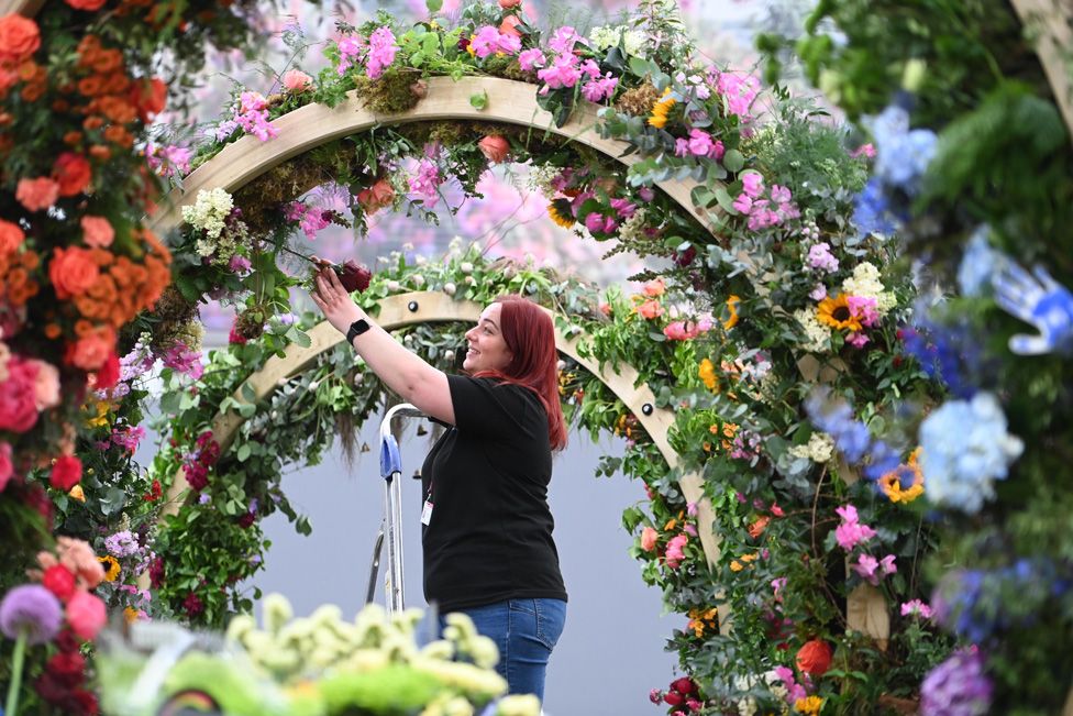 A woman adjusts a floral display during preparations for the RHS Chelsea Flower Show 2023 in London, Britain, 21 May 2023.