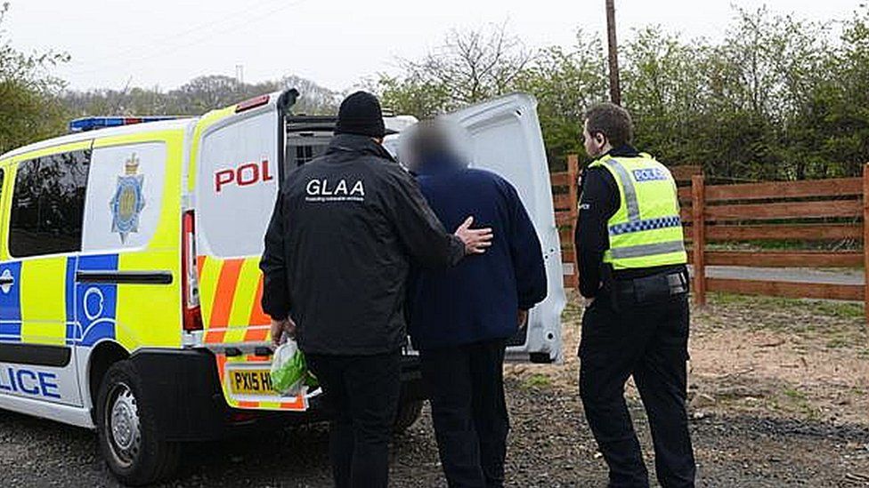 GLAA slavery arrest in Cumbria
