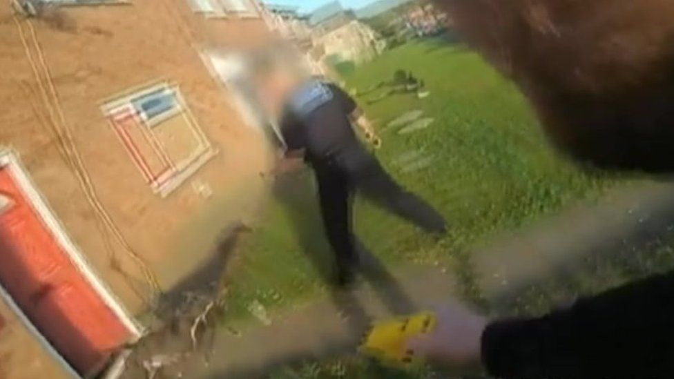 Shot of a dog running at police officers