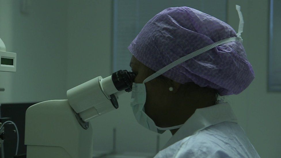 An embryologist at the microscope