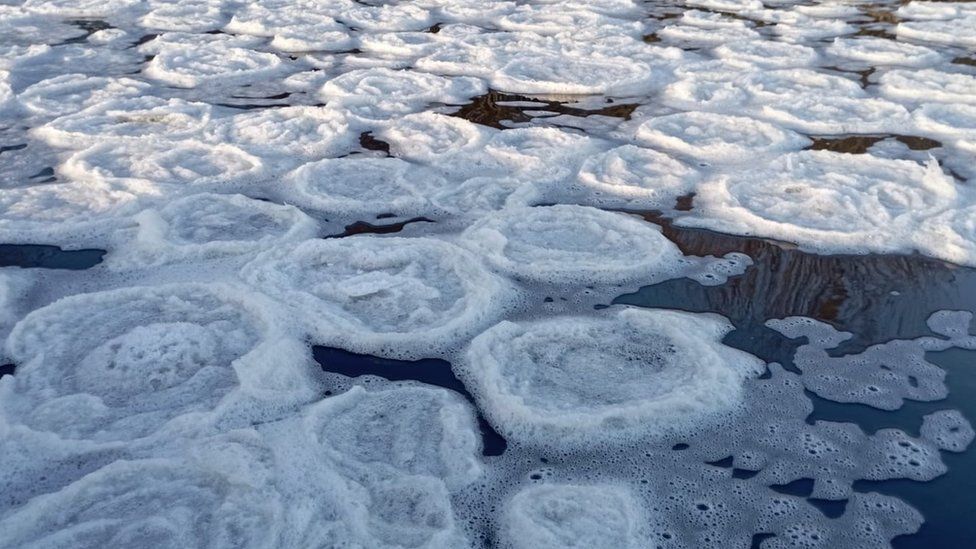 Ice pancakes on the River Fane in South Armagh