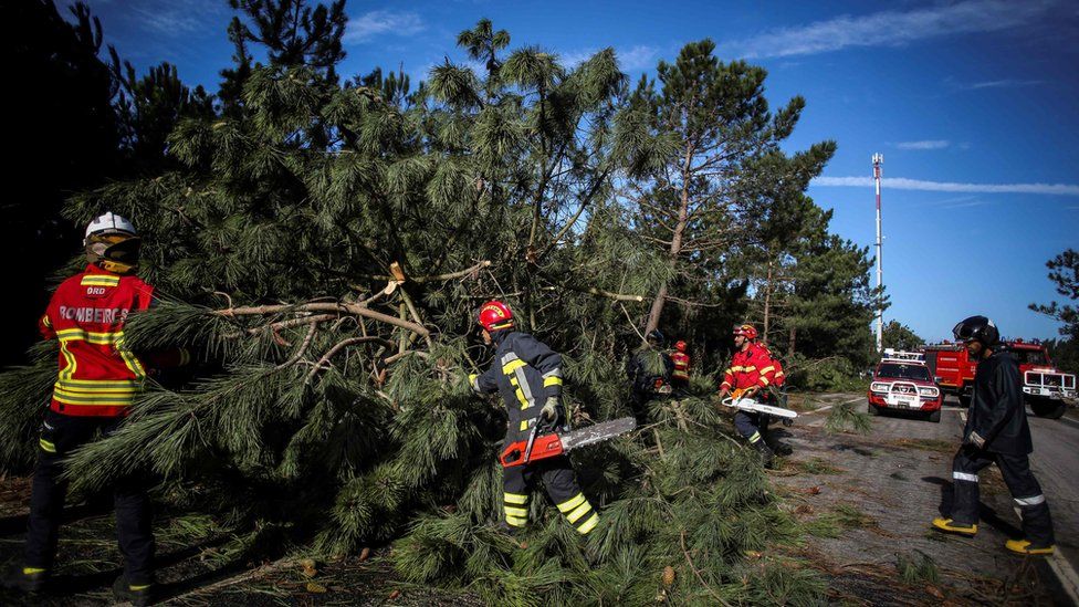 Emergency services work to clear hundreds of trees brought down in the storm