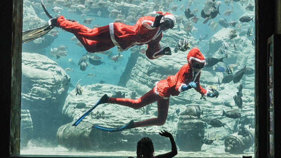 Waving swimming Santas in a marine park in Durban, South Africa - Thursday 14 December 2023