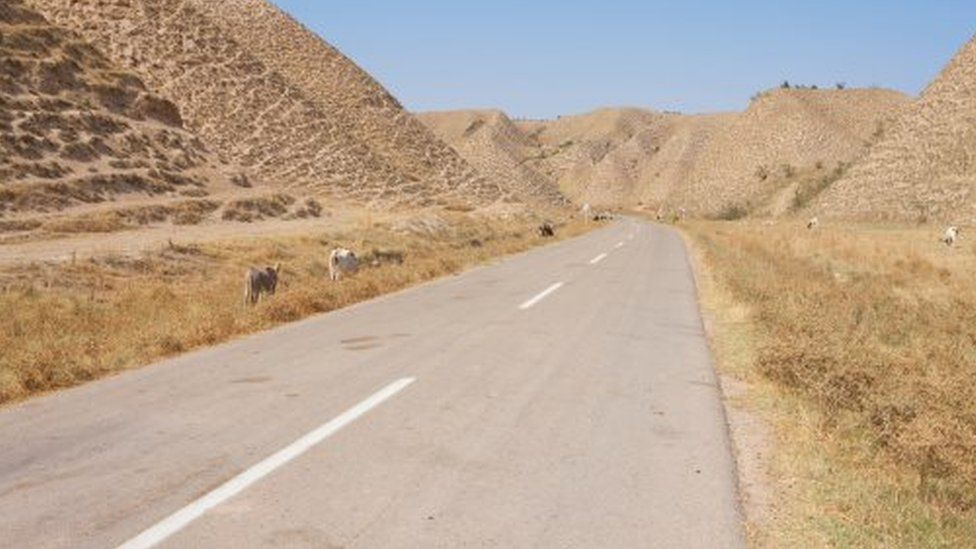 Golestan National Park (file photo)