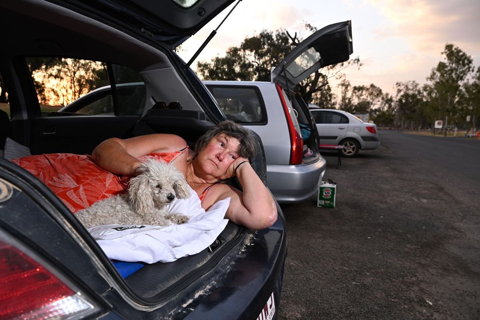 Bushfire evacuee Joanne Hill lies in her car with her three dogs at the Tara Lagoon