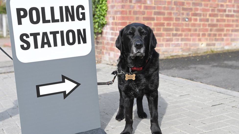 A dog stands next to a polling station sign in London