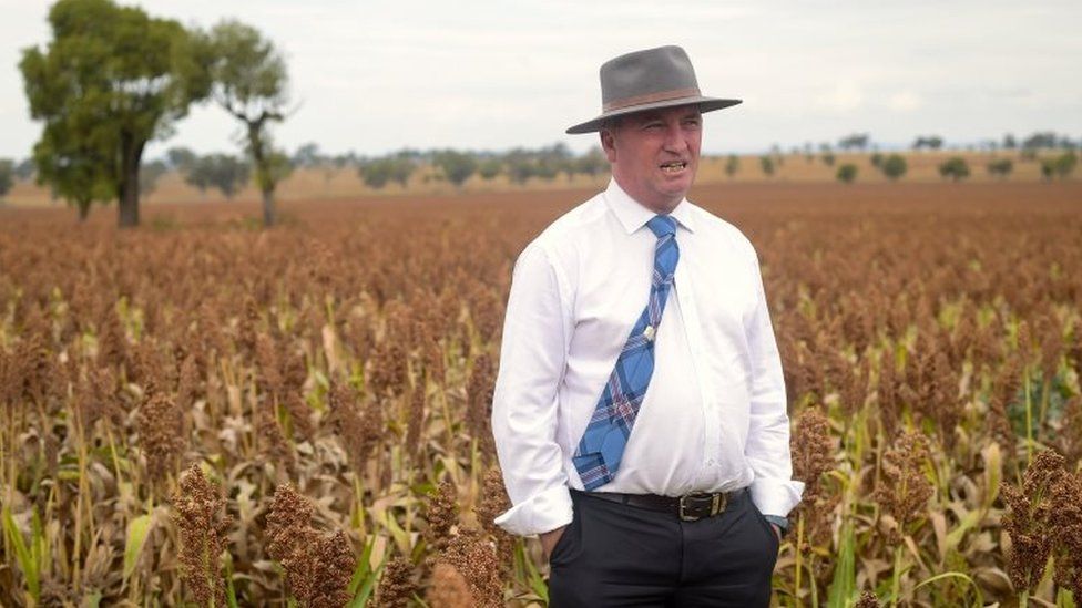 Barnaby Joyce sands in a paddock in his electorate of New England