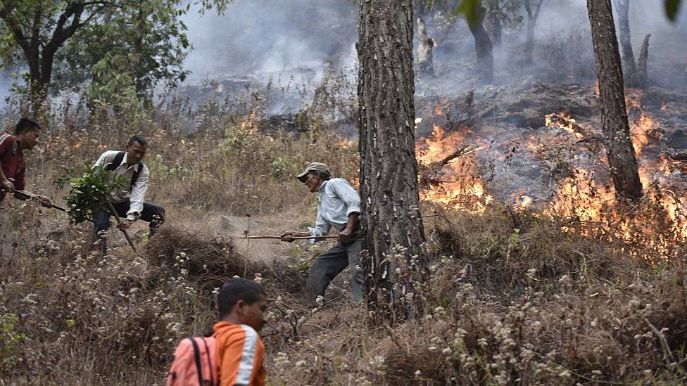 National Disaster Response Force personnel dousing forest fires in Uttarakhand district