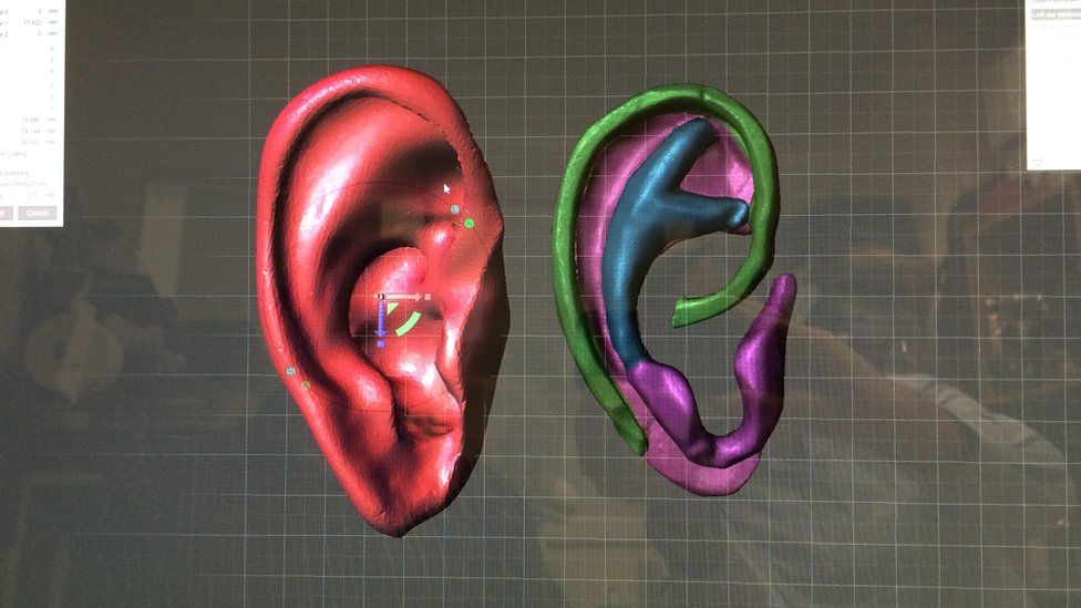 3D model of an ear