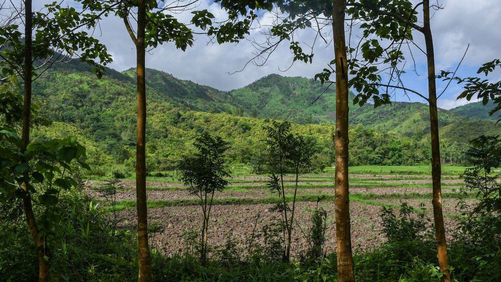 Вид на бесплодное рисовое поле после вспышки насилия в Чурачандпуре, Манипур