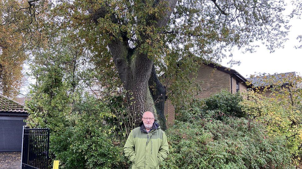 Gary Saunders standing in front of his oak tree