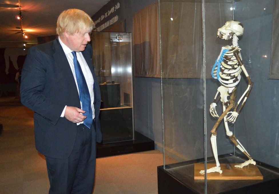 British Embassy in Ethiopia shows British Foreign Secretary Boris Johnson watching a plaster replica of the reconstructed skeleton of early australopithecine "Lucy"