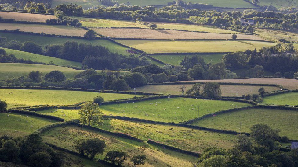 Farmland and countryside