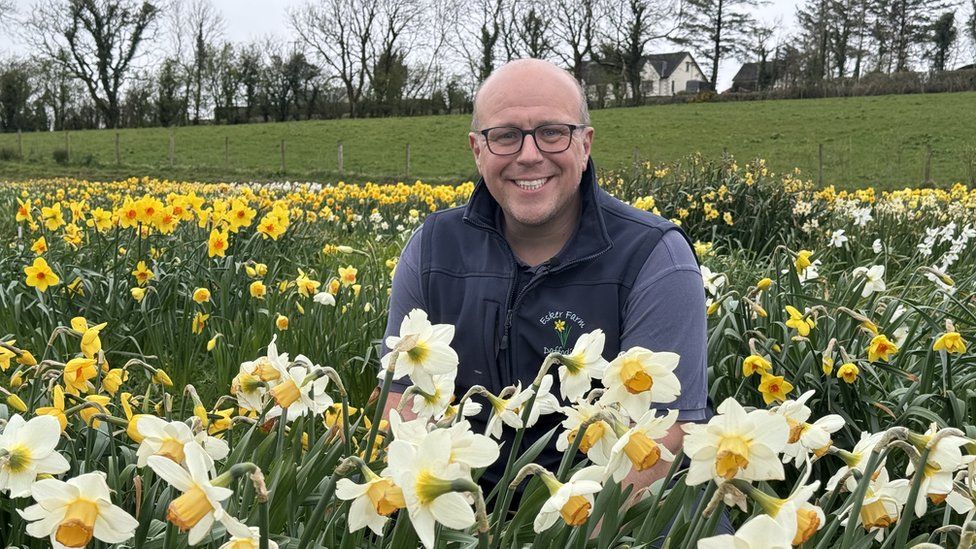 Dave hardy in a field of daffodils