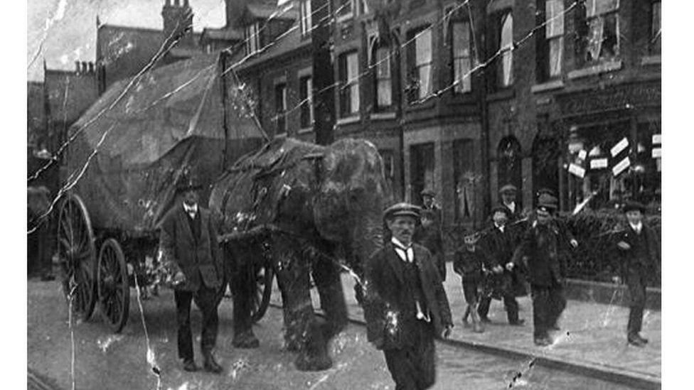 Menagerie elephant pulling a cart down a street