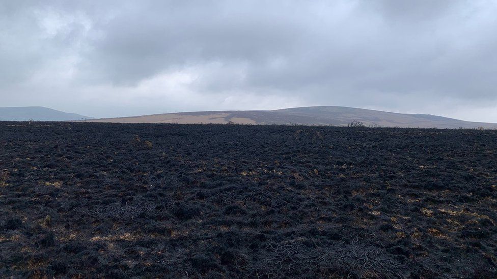 Large Dartmoor fire 'started deliberately' - BBC News