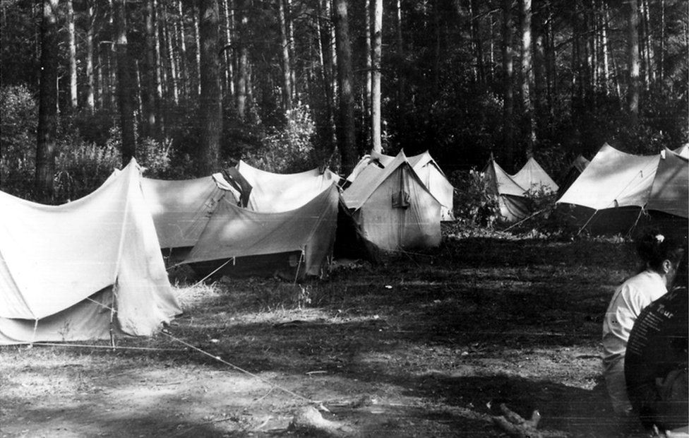 Tents in the forest