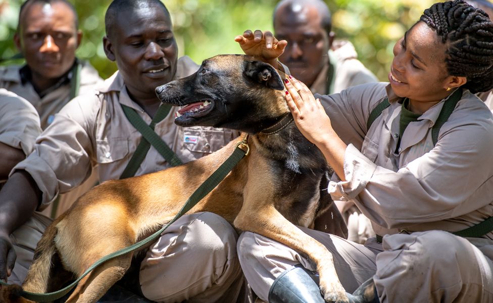 A group of trainee dog handlers sitting on the ground and patting a dog on a lead in Arusha, Tanzania