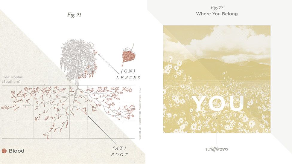 Billie Holliday's Strange Fruit and Tom Petty's Wildflowers