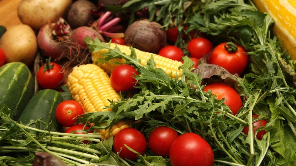 Veganism: What is a vegan and what do vegans eat? - BBC Newsround