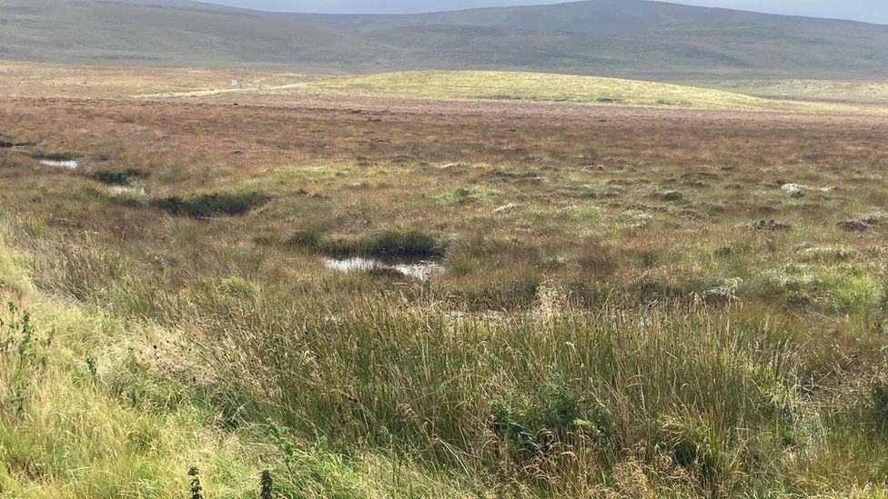 Site of bog