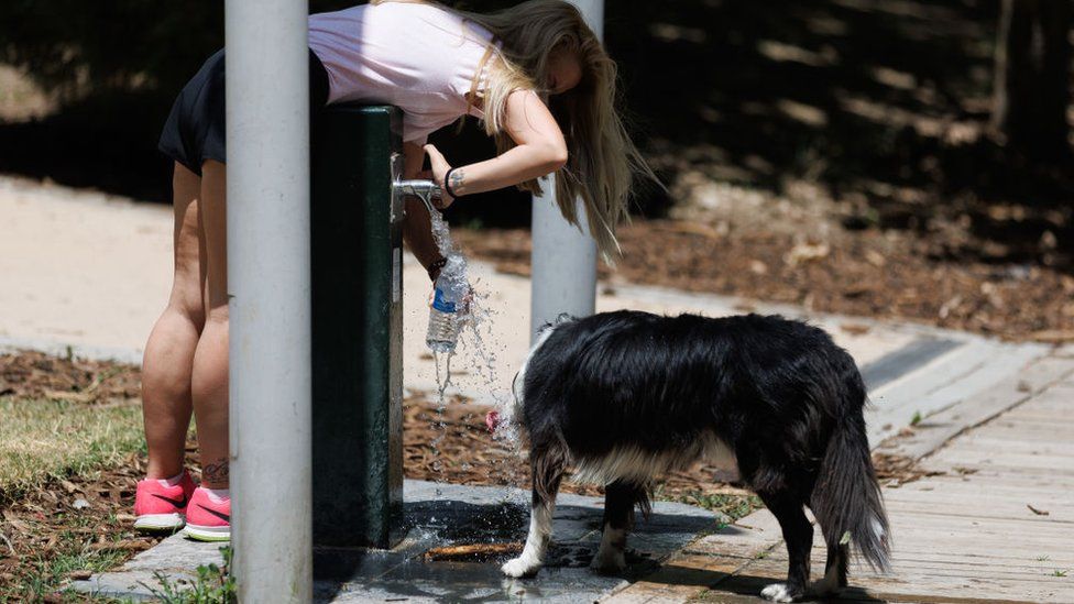 A woman and a dog drink water from a fountain in a Madrid park