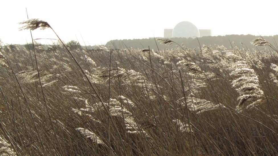 Sizewell nuclear power plants from RSPB Minsmere reedbeds