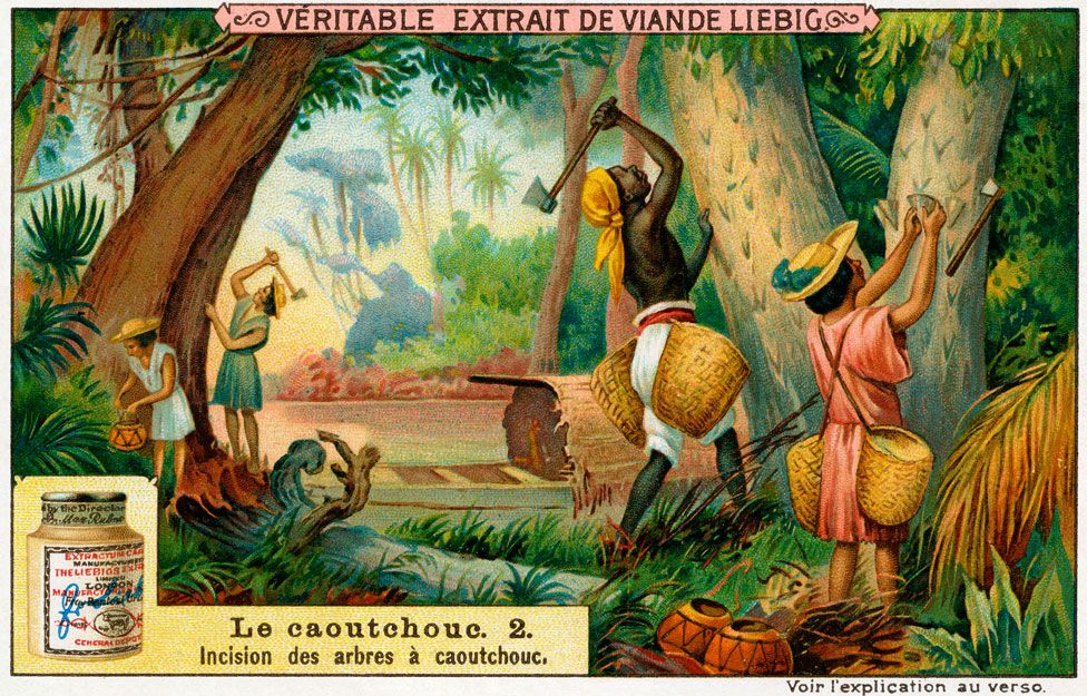 A collectable card from a 1910 set showing the extraction of "caoutchouc"