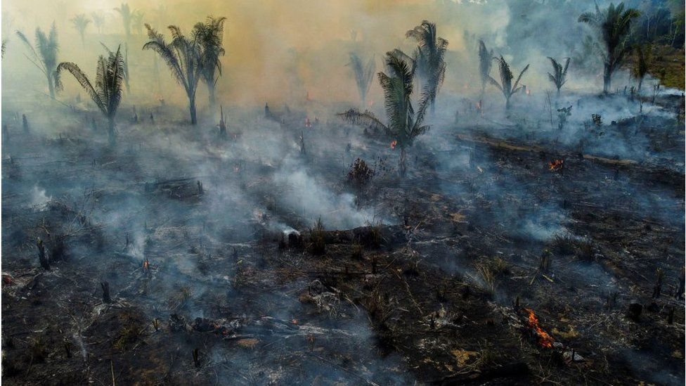 Fires deforestation