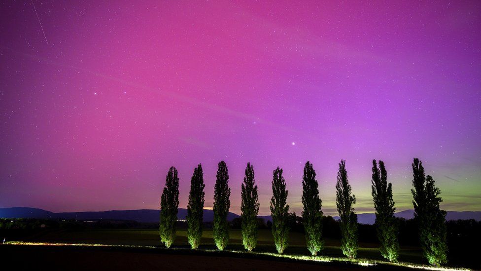 A car drives on the road and illuminates poplars under the Northern lights (aurora borealis) glow in the night sky above the village of Daillens, Switzerland, 11 May 2024