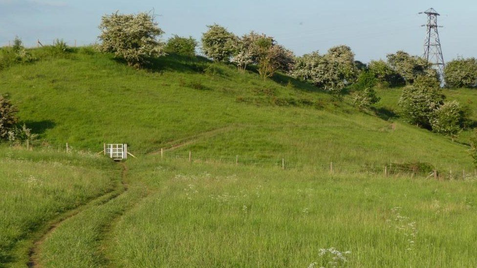 Brockadale Nature Reserve