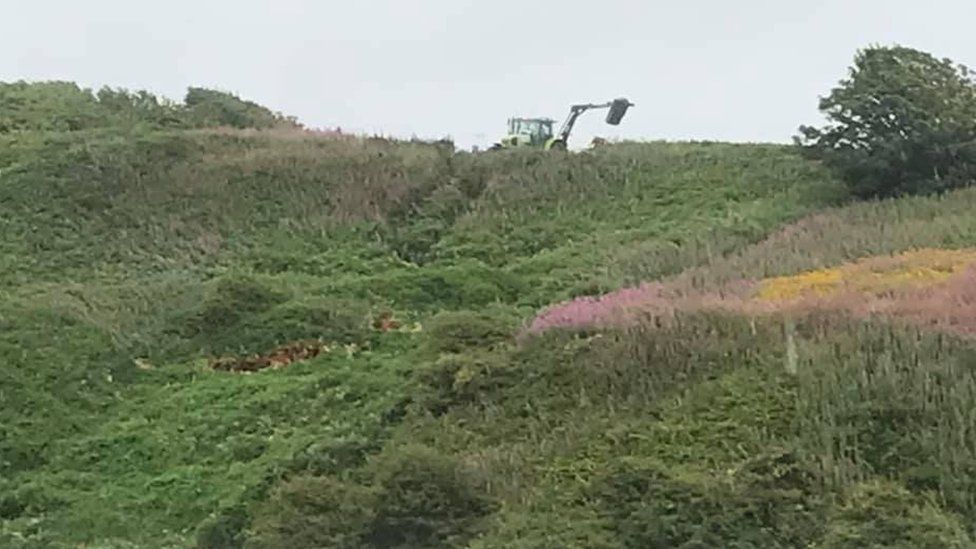 Machinery at site of landslip