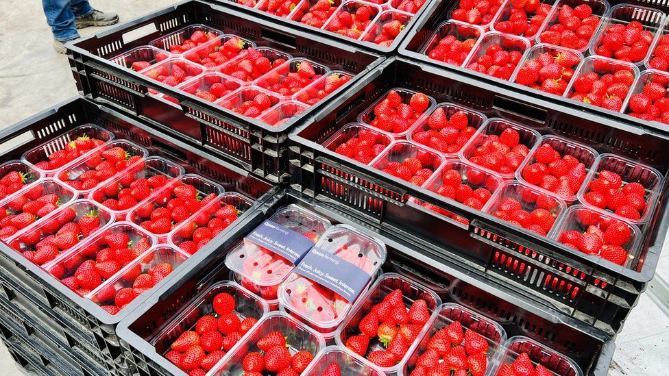 British-grown strawberries
