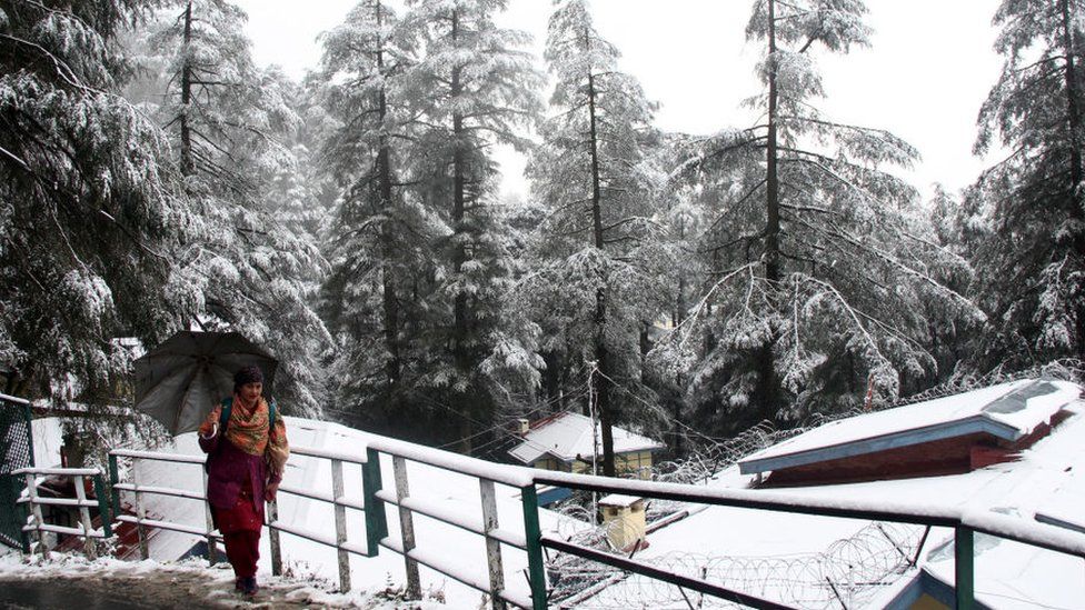 20 ЯНВАРЯ: Женщина идет по заснеженной дороге во время свежего снегопада недалеко от Джакху, 20 января 2023 года в Шимле, Индия.
