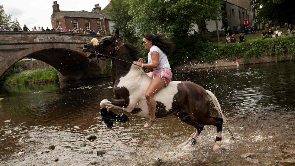 A horse rears up as it is washed in the River Eden on the second day of the Appleby Horse Fair