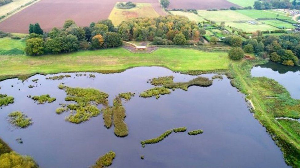 Bird flu Outbreak at Pensthorpe Natural Park, near Fakenham in Norfolk BBC News