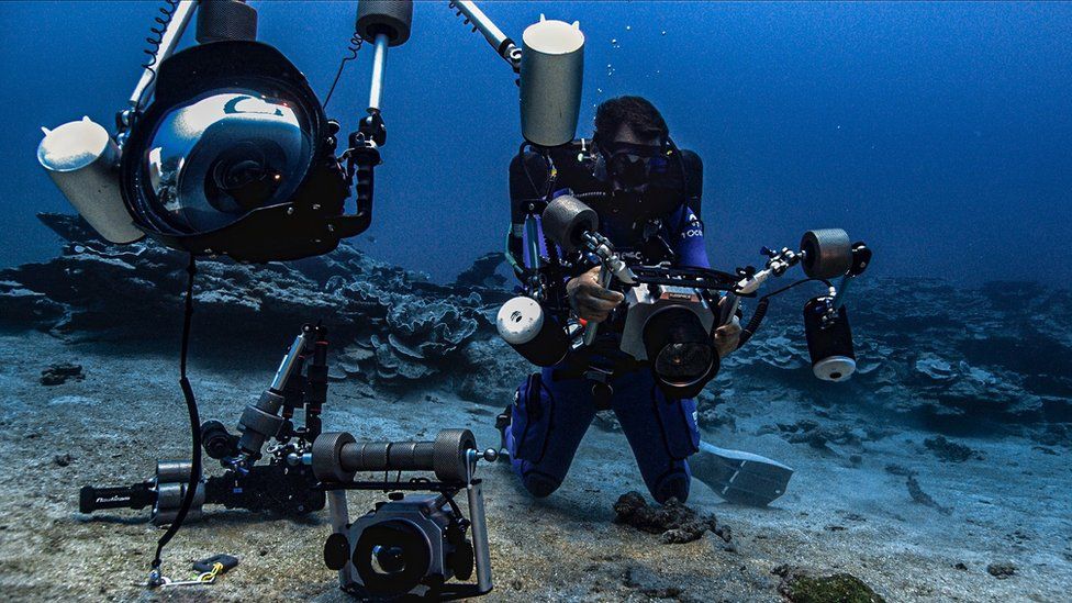 Giant pristine coral reef discovered off Tahiti