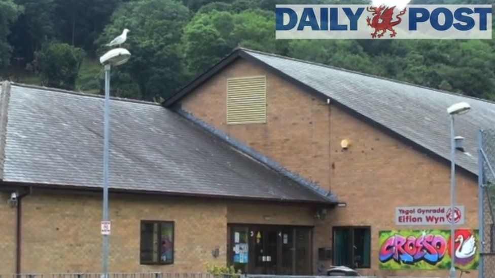 Gull on lamppost at Ysgol Eifion Wyn, Porthmadog