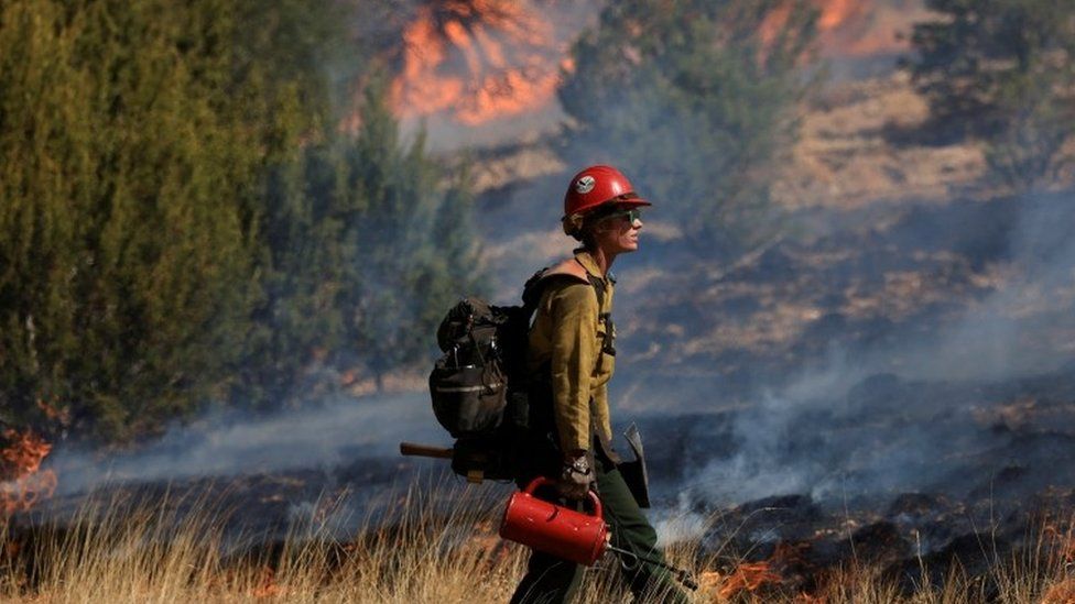 A firefighter conducts a prescribed burn to combat the Hermits Peak and Calf Canyon wildfires