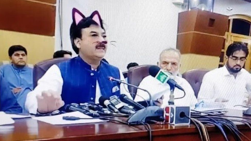 Cat filter accidentally used in Pakistani minister's live press conference  - BBC News