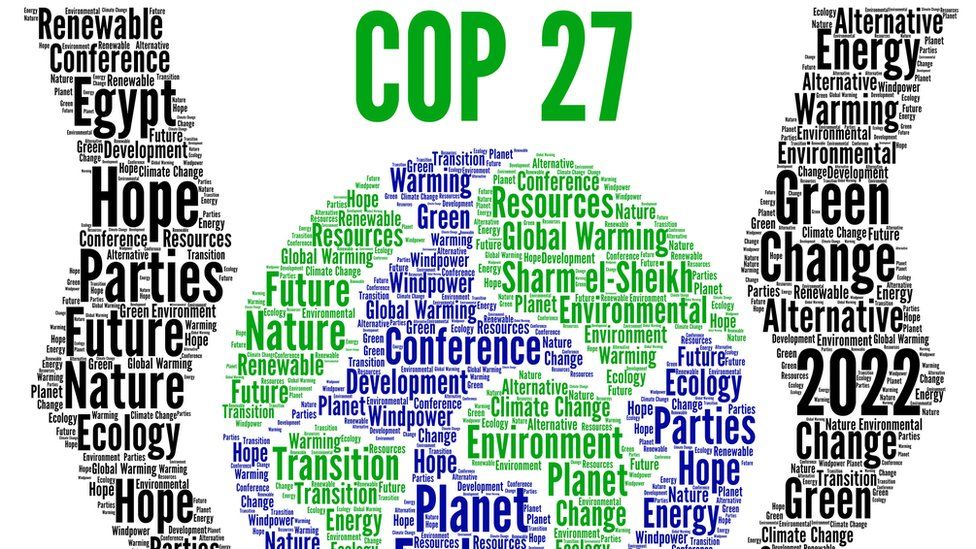 COP27: What Do All The Words Mean? - BBC Newsround