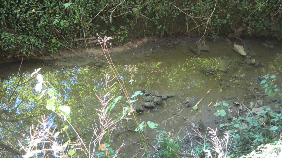 Grendon Brook