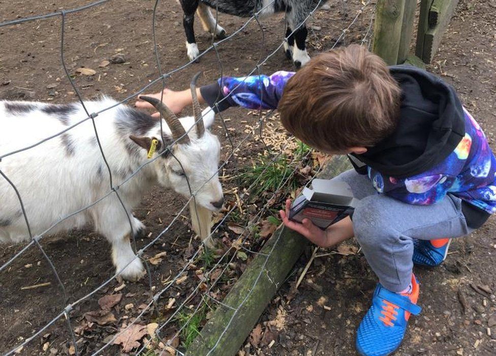 Boy with goat at Jimmy's Farm
