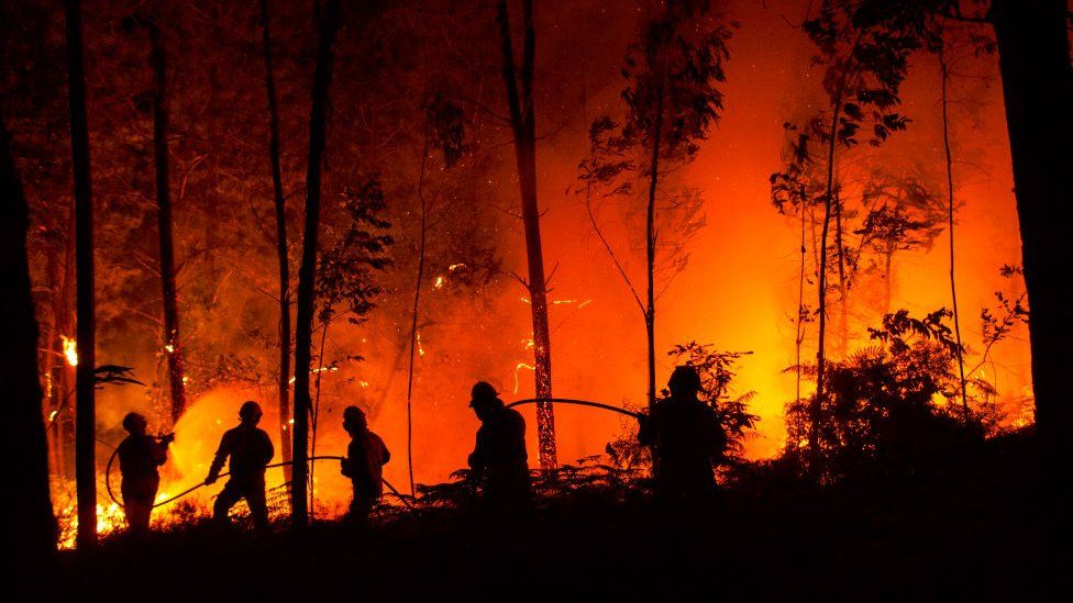 Wildfires in Leireia