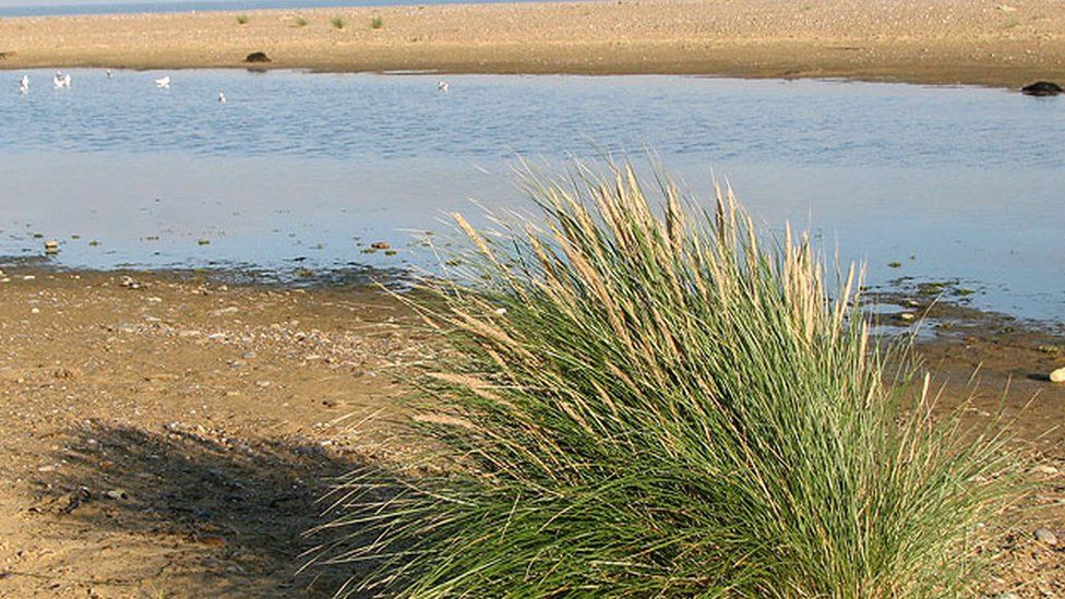 Spit of sand and shingle at Kessingland, Suffolk